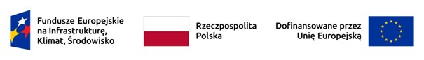 Logo Funduszy EU, RP, UE